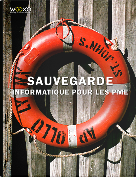 LB-Sauvegarde.png